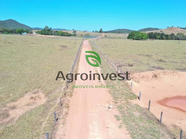 Fazenda para Venda em Campinorte - 5