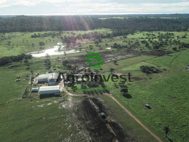 Fazenda para Venda em Juara - 2