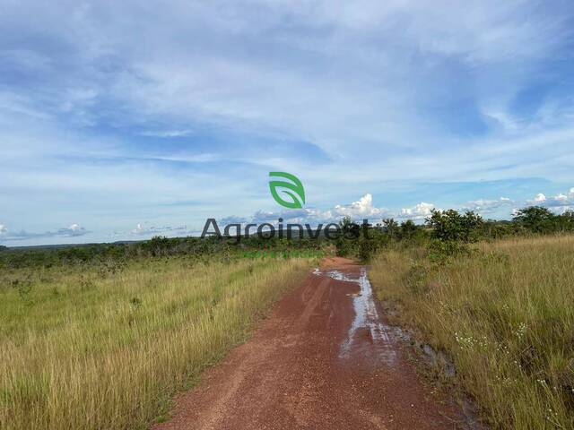 #796 - Fazenda para Venda em Recursolândia - TO - 1