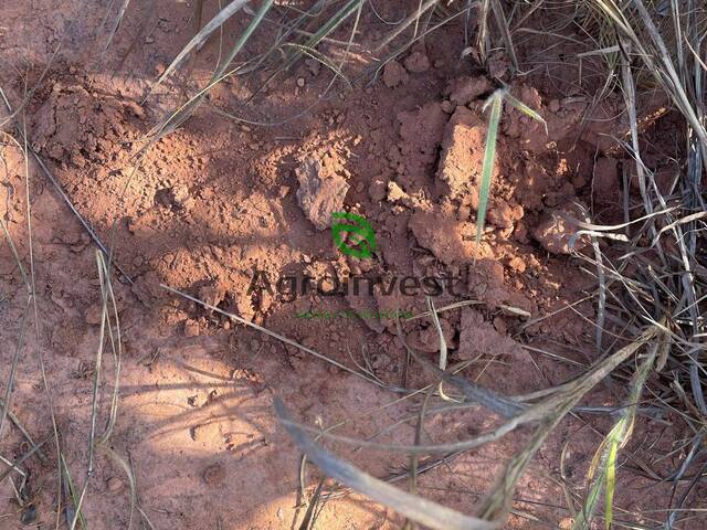 Fazenda para Venda em Recursolândia - 5