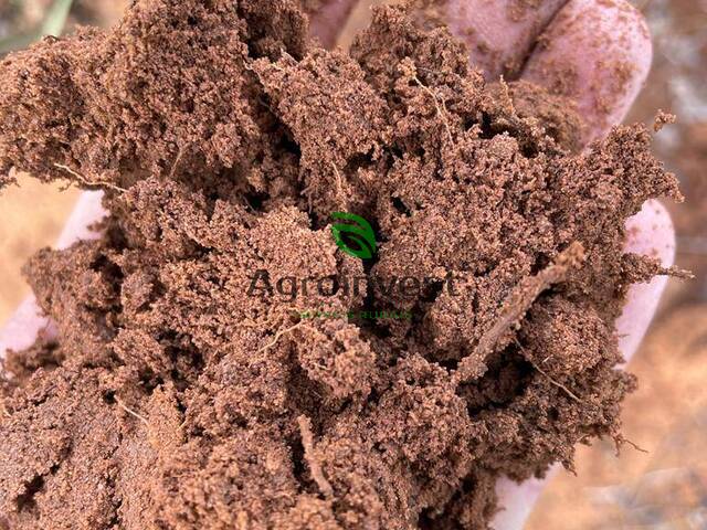 Fazenda para Venda em Recursolândia - 4