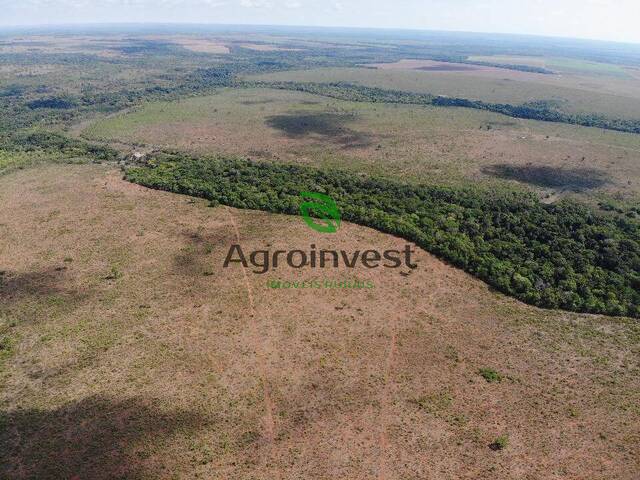 Fazenda para Venda em Santa Rita do Trivelato - 2