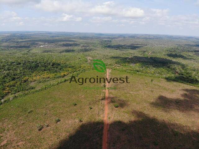 Fazenda para Venda em Santa Rita do Trivelato - 5