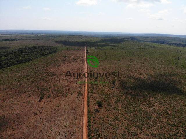 Fazenda para Venda em Santa Rita do Trivelato - 4