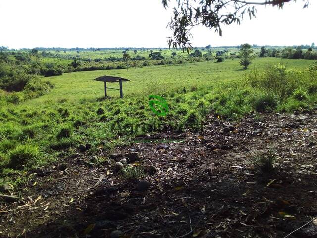 Fazenda para Venda em Tucuruí - 2