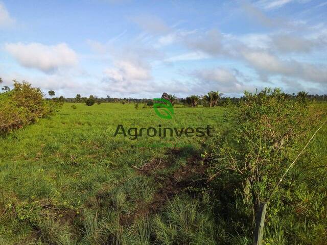 Fazenda para Venda em Tucuruí - 3