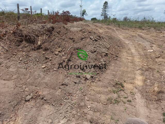 Fazenda para Venda em Tucuruí - 5