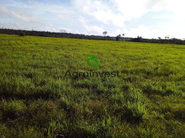Fazenda para Venda em Tucuruí - 4