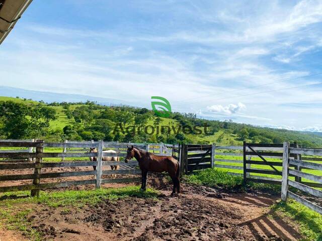 Fazenda para Venda em Alexânia - 3