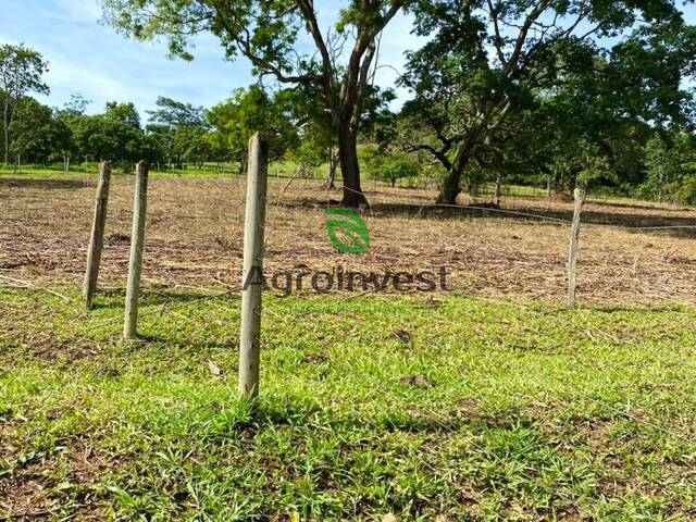 Fazenda para Venda em Alexânia - 2