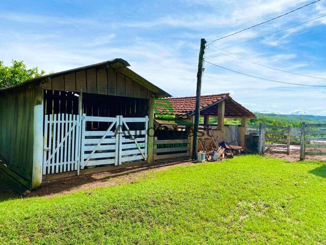 Fazenda para Venda em Alexânia - 4