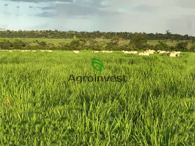 Fazenda para Venda em Tailândia - 2