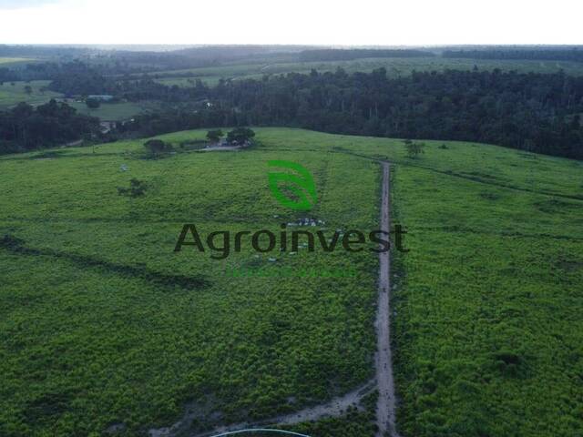 Fazenda para Venda em Tailândia - 4