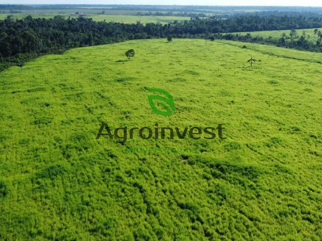 Fazenda para Venda em Tailândia - 3