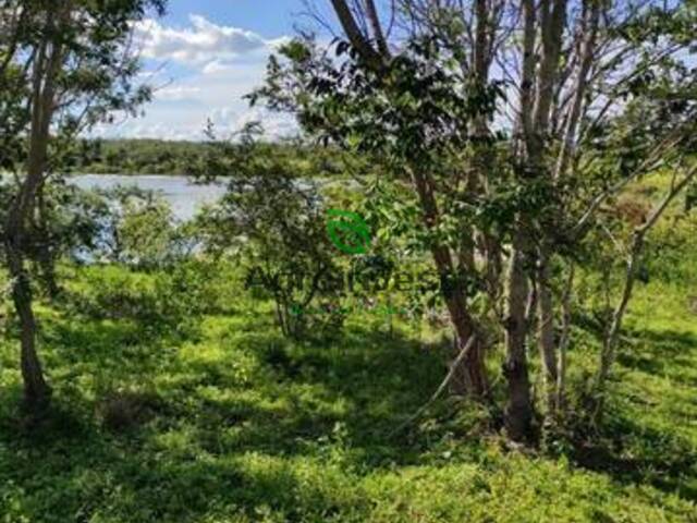 Venda em Rural - Guadalupe
