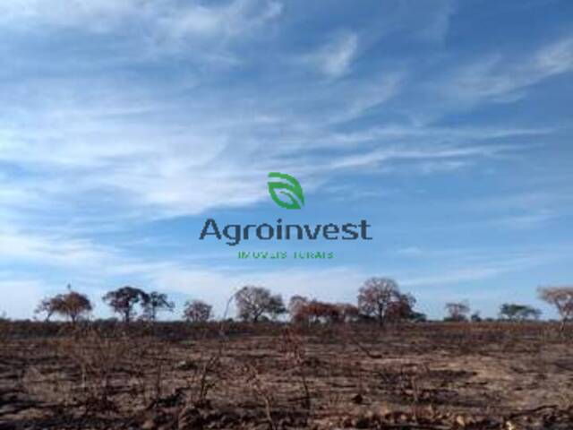 Fazenda para Venda em Guadalupe - 4