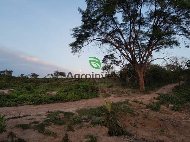 #840 - Fazenda para Venda em Guadalupe - PI - 3
