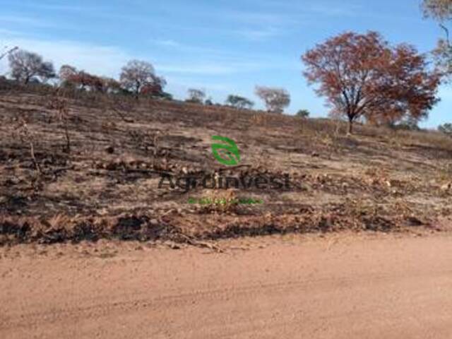 Fazenda para Venda em Guadalupe - 5