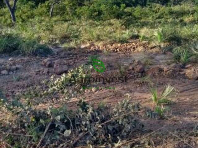 #840 - Fazenda para Venda em Guadalupe - PI - 2