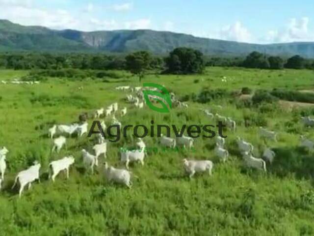 Fazenda para Venda em Alvorada do Norte - 3