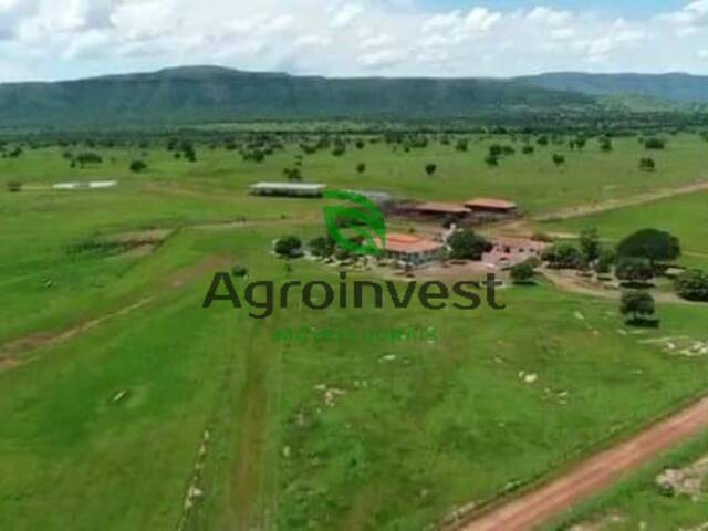 Fazenda para Venda em Alvorada do Norte - 4