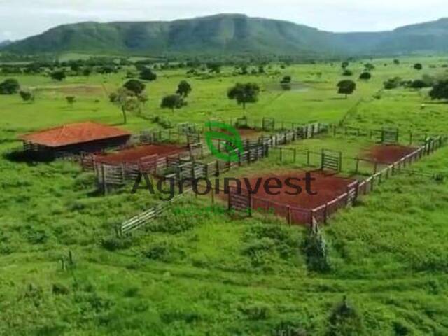 Fazenda para Venda em Alvorada do Norte - 5