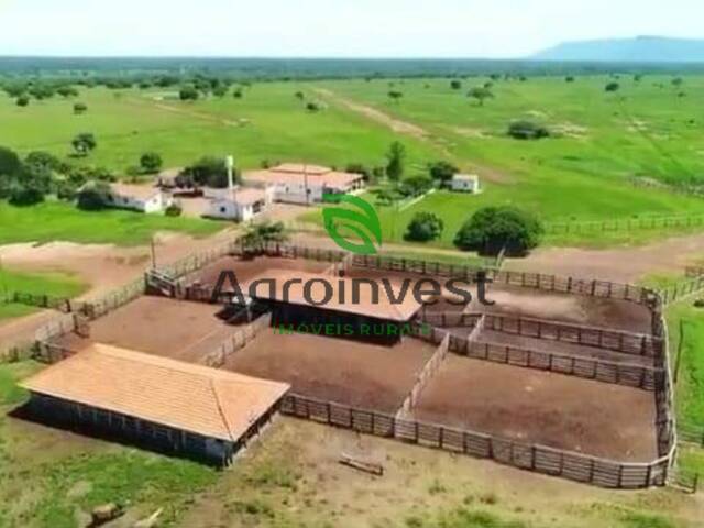 Fazenda para Venda em Alvorada do Norte - 2