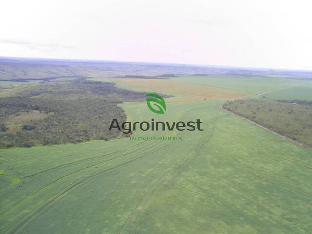 #848 - Fazenda para Venda em Buritis - MG - 2