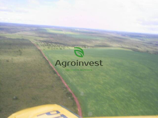 Fazenda para Venda em Buritis - 4