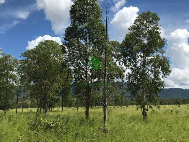 Fazenda para Venda em São Francisco - 2