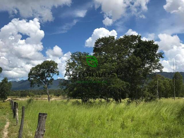 Fazenda para Venda em São Francisco - 3