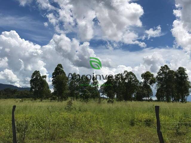 Fazenda para Venda em São Francisco - 4