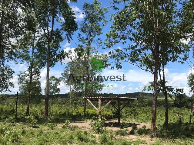 Fazenda para Venda em São Francisco - 5