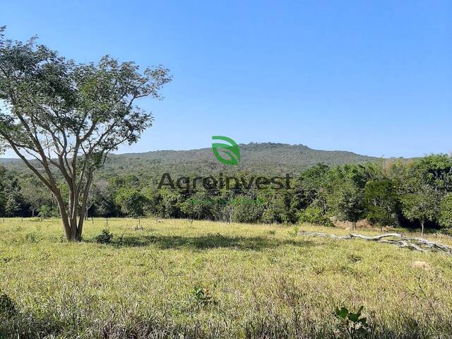 Fazenda para Venda em Goianésia - 4