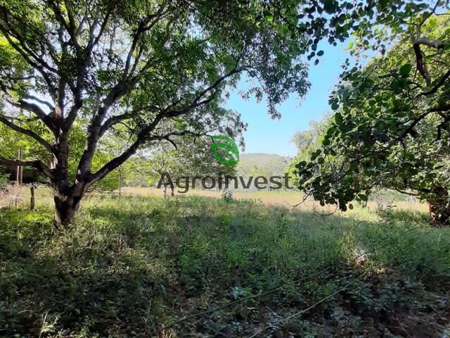 Fazenda para Venda em Goianésia - 2