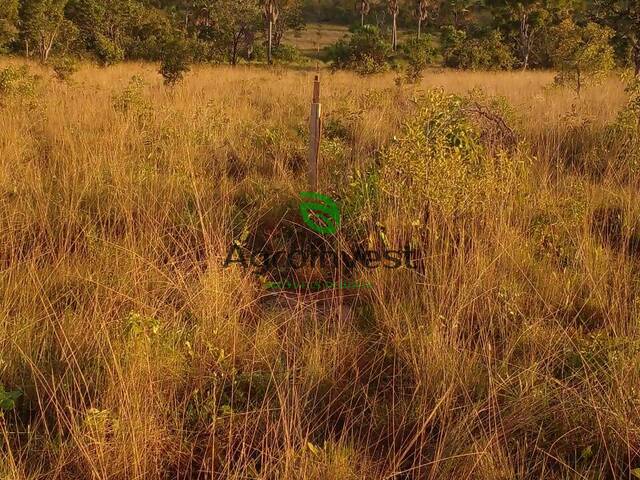 Fazenda para Venda em Rio Sono - 5