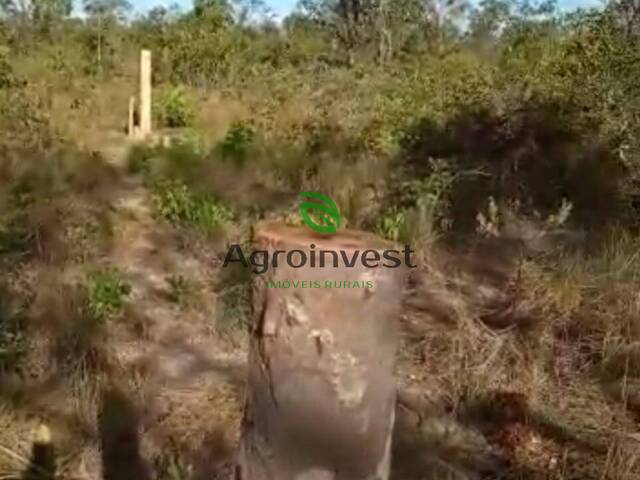 Fazenda para Venda em Rio Sono - 4