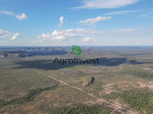 #894 - Fazenda para Venda em Gilbués - PI - 2