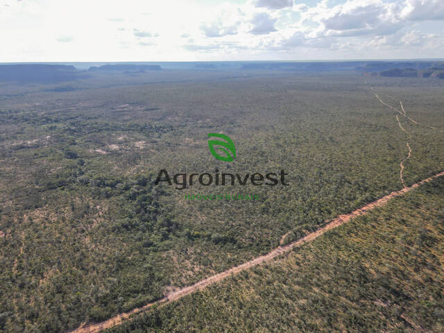 #894 - Fazenda para Venda em Gilbués - PI - 3
