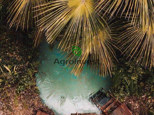 Chácara para Venda em Mateiros - 2