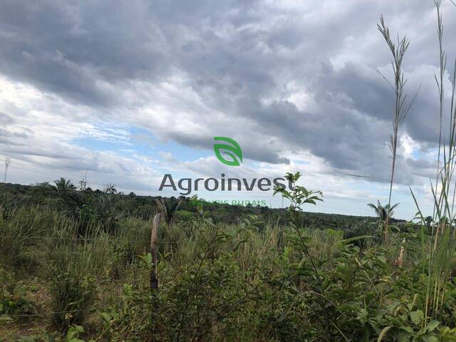 #898 - Fazenda para Venda em Presidente Juscelino - MA - 3