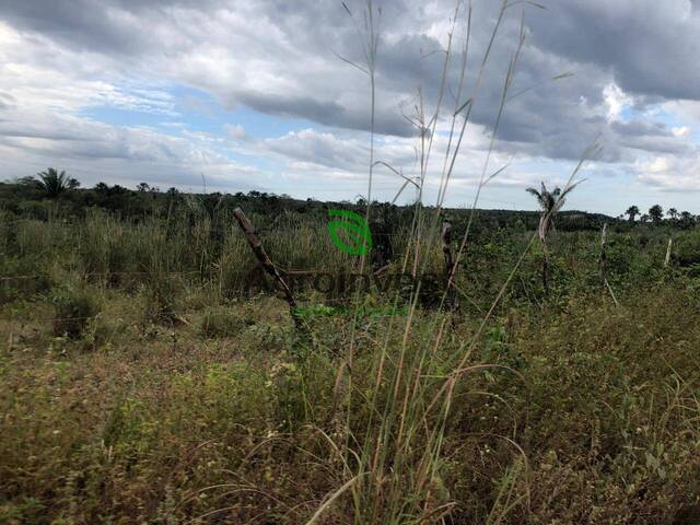 Fazenda para Venda em Presidente Juscelino - 4