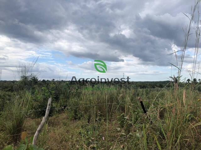 #898 - Fazenda para Venda em Presidente Juscelino - MA - 2