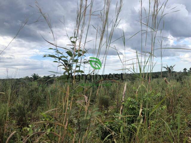 Fazenda para Venda em Presidente Juscelino - 5