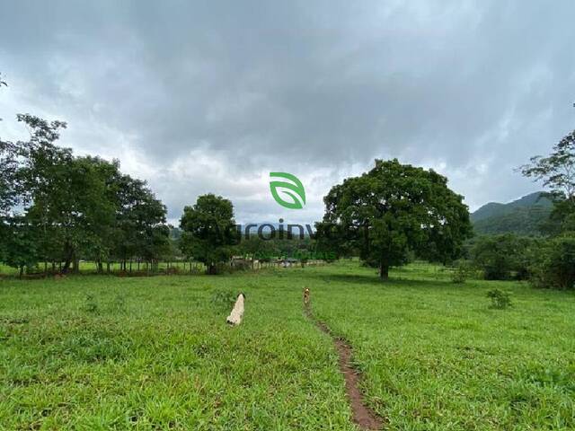 Fazenda para Venda em São Francisco de Goiás - 2