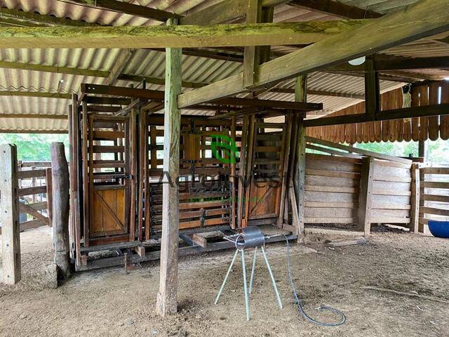 Fazenda para Venda em São Francisco de Goiás - 4
