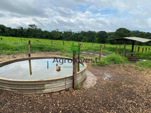 Fazenda para Venda em São Francisco de Goiás - 3