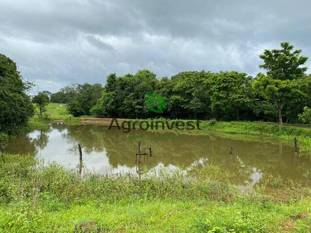 Fazenda para Venda em São Francisco de Goiás - 5