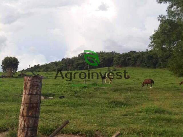 #939 - Fazenda para Venda em Paranaíta - MT - 3