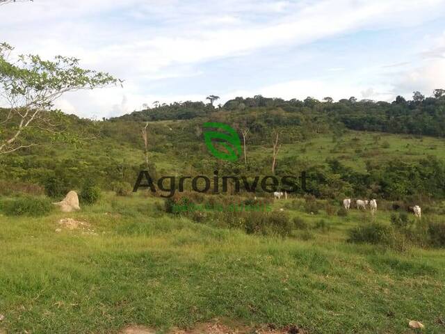 Fazenda para Venda em Paranaíta - 4